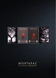 LOS DOS AFINADOS DE MONTARAZ